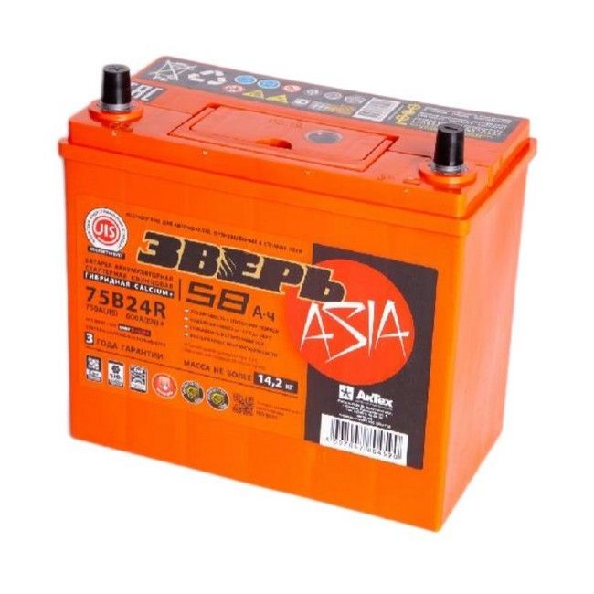 Зверь Asia ZVKA583L 58А/ч-12V ст EN600 прямая 238x128x225