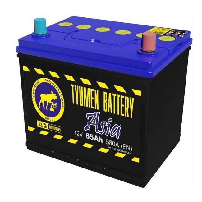 Тюмень Asia 6CT65LRASIA 65А/ч-12V ст EN580 европейские обратная 230x172x221