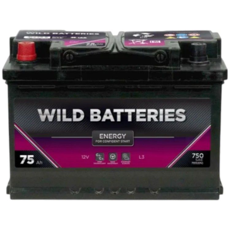 Wild Batteries 6СТ WB751E 75А/ч-12V ст EN700 европейские прямая 278x175x190