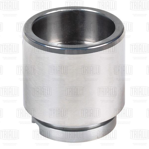 Trialli RCF105062 Ford Transit (06-)