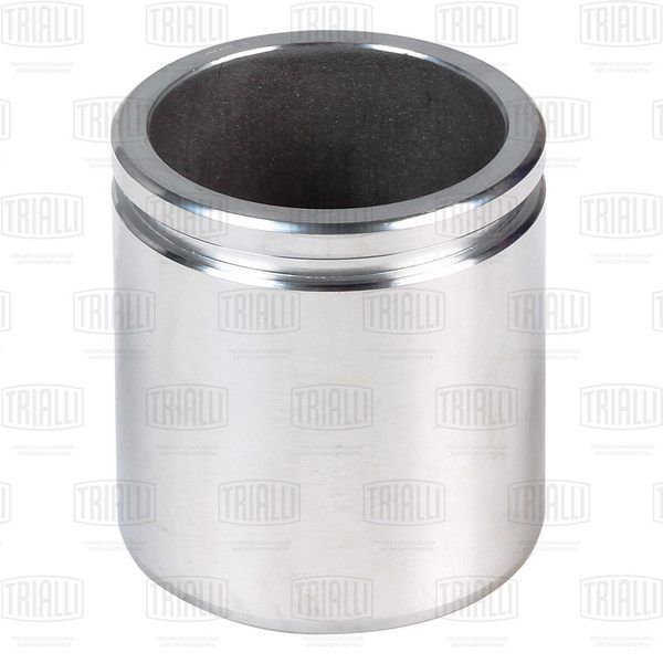 Trialli RCF105102 Ford Transit (06-)
