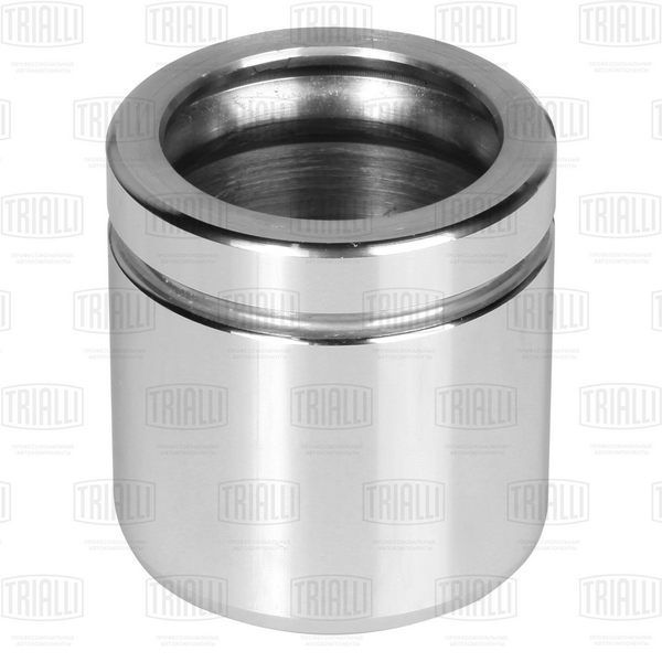 Trialli RCF182004 VW Polo Sedan (RUS) (10-) 1ZC